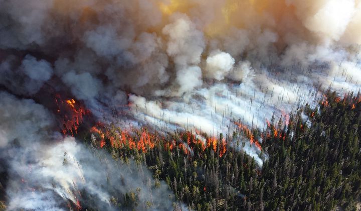Let's Talk About Climate Change