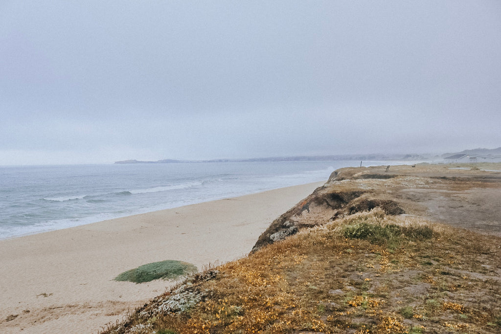 Budget Friendly Adventures: Half Moon Bay, CA