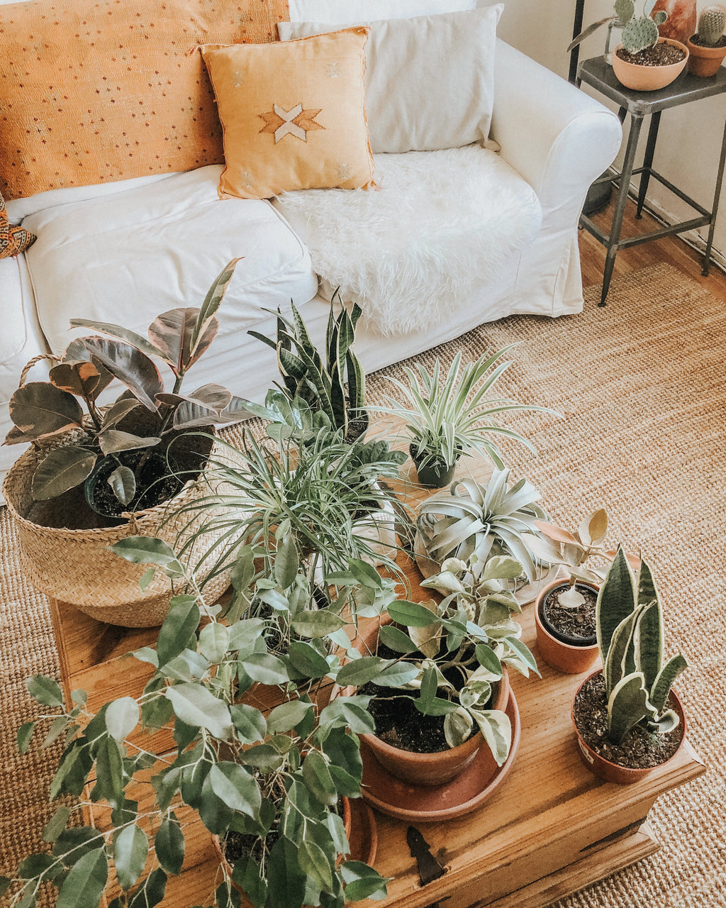 4 Ways to Detox Your Home