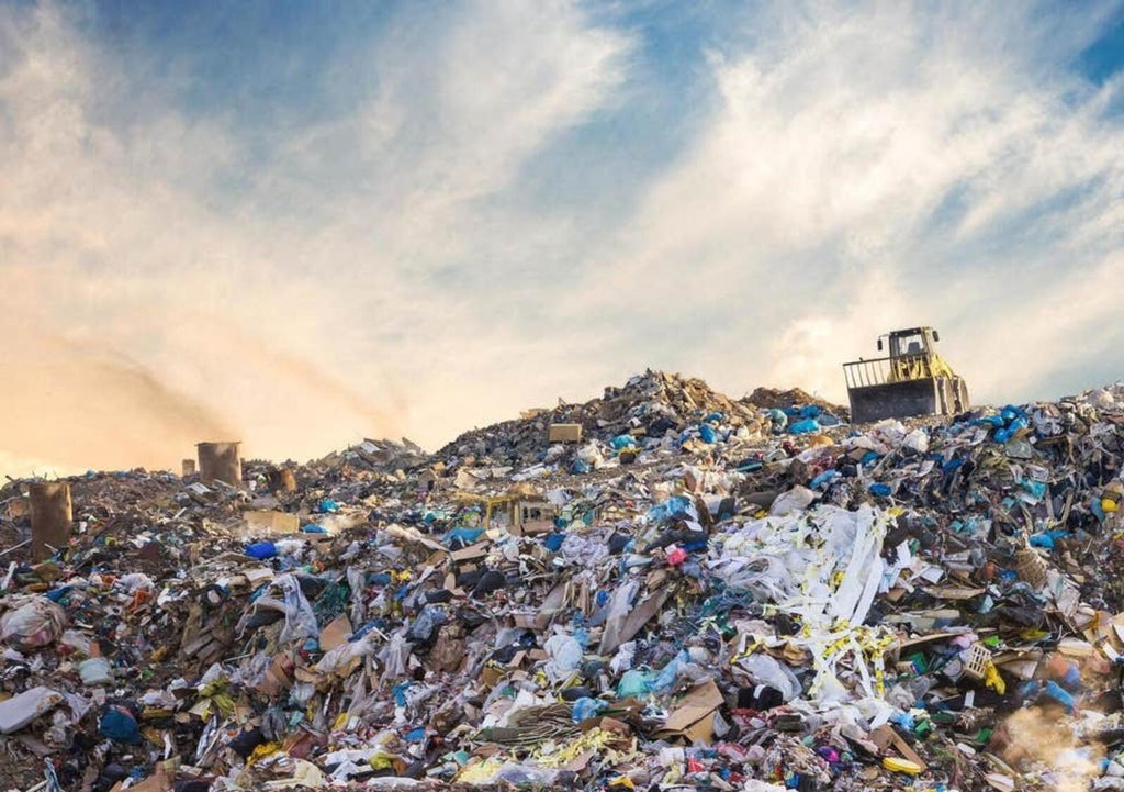 What is Fast Fashion and Why it’s Harmful