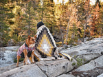 The Zion Blanket